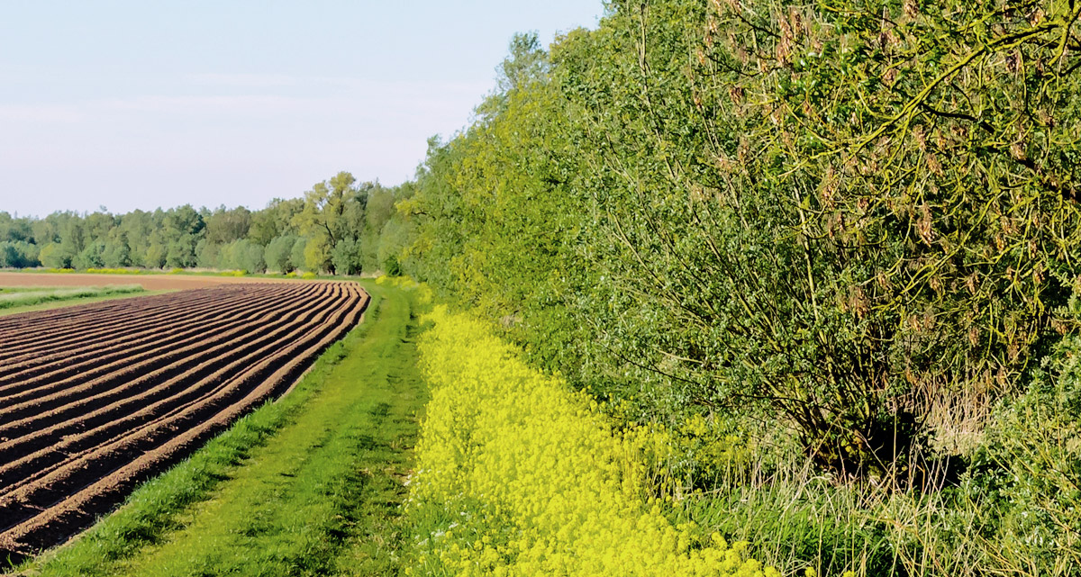 Landwirtschaft Content Landwirtschaft Content